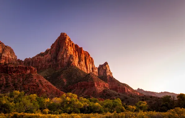 Picture mountains, rocks, Utah, USA, Zion National Park