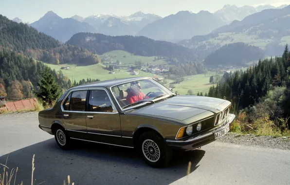 Greens, forest, mountains, green, green, shark, BMW, village