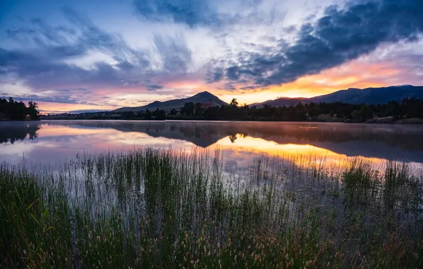 Forest, the sky, grass, clouds, sunset, mountains, lake, reflection