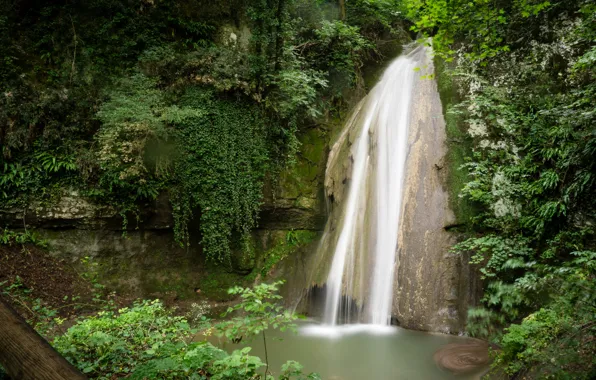 Picture greens, branches, Park, rocks, foliage, waterfall, moss, Italy