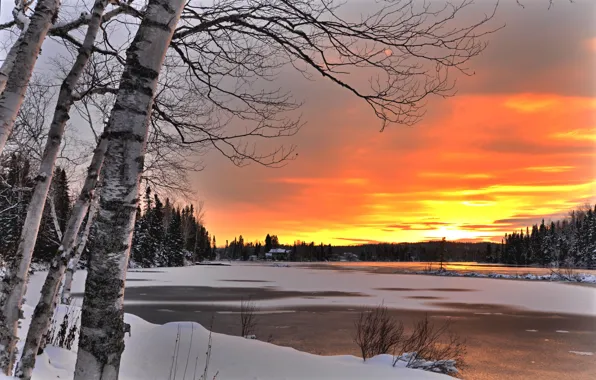 Winter, forest, trees, landscape, sunset, nature, lake, shore