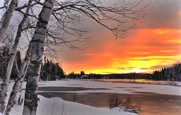 Winter, trees, landscape, sunset, nature, lake, Canada, birch