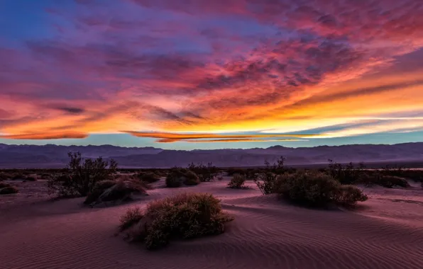 Picture the sky, clouds, sunset, mountains, nature, desert, USA, shrubs