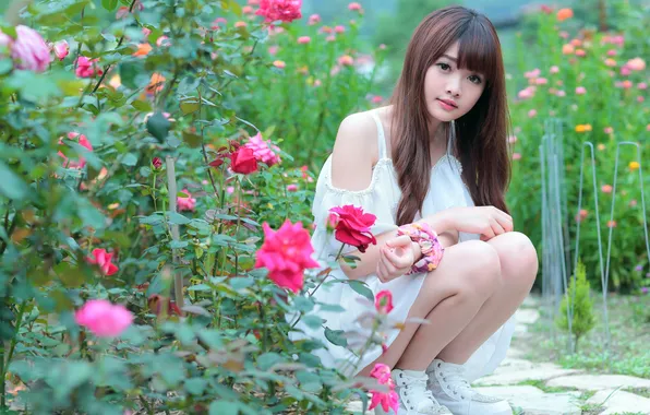 Picture look, girl, flowers, face, hair, roses