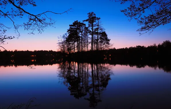 Trees, night, lake, reflection, silhouette