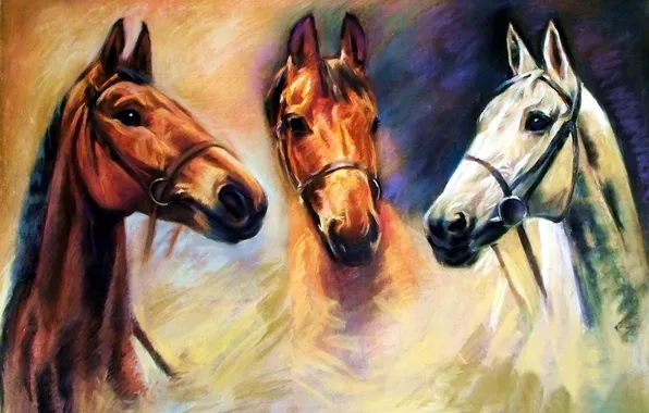 Picture animals, eyes, look, painting, three horses