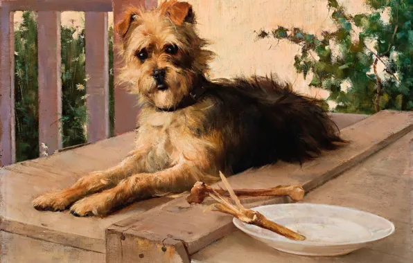 Dog, picture, 1890, Lucien Henry, Lucien Henry
