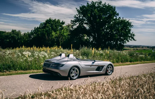 Car, Mercedes-Benz, SLR, trees, Mercedes-Benz SLR McLaren Stirling Moss