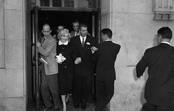 Model, actress, Marilyn Monroe, Marilyn Monroe, blonde •