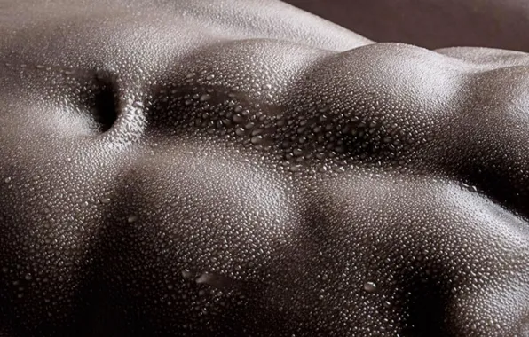 Drops, male, sweat, muscles, press, men's press