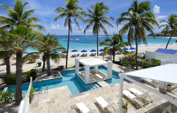Picture beach, palm trees, the ocean, pool, resort
