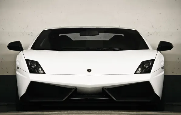 White, white, gallardo, lamborghini, the front, Lamborghini, lp570-4, superleggera
