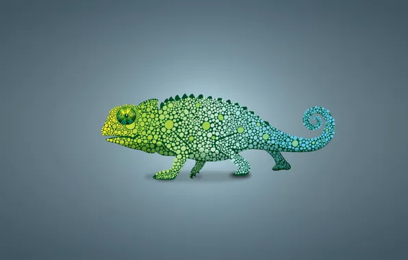 Picture green, chameleon, lizard, light background, chameleon