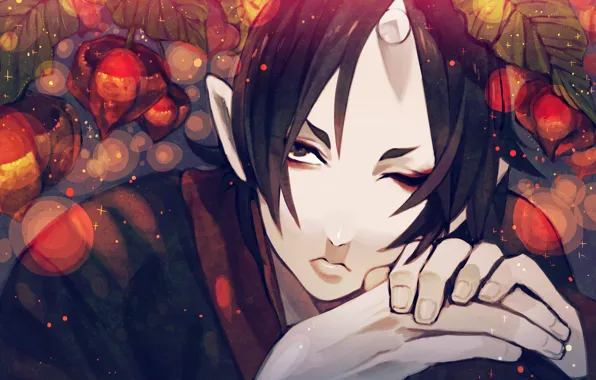 Look, anime, the demon, art, guy, Hoozuki no Reitetsu, Cold-Blooded Hozuki
