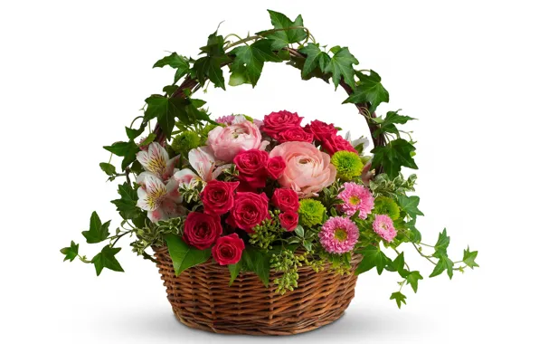 Leaves, basket, Lily, roses, bouquet, white background, chrysanthemum