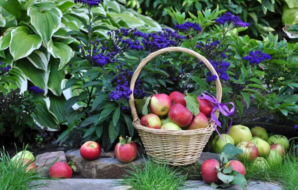 Flowers, apples, harvest, basket