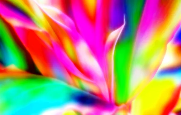Picture line, background, flame, pattern, paint, petals, fractal