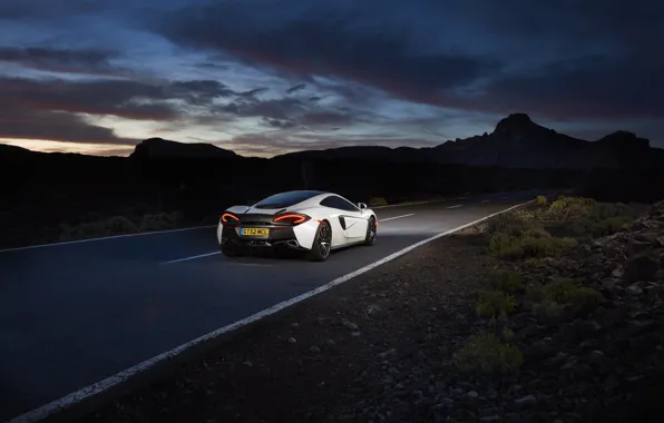 Picture road, the sky, McLaren, white, supercar, car, back, brake lights