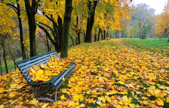 Picture autumn, leaves, trees, Park, alley, bench
