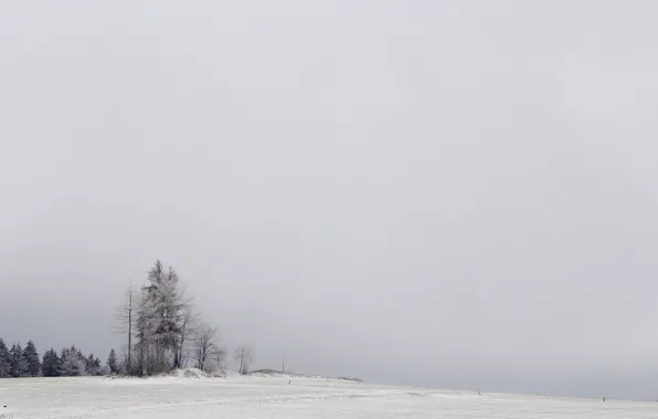 Winter, field, snow, trees, nature, fog