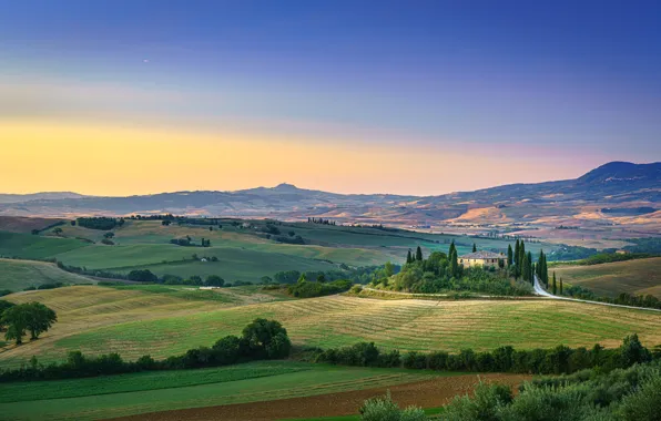 Hills, field, Tuscany, Italy, Tuscany, San Quirico d'orcia