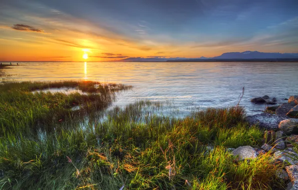 Grass, sunset, lake