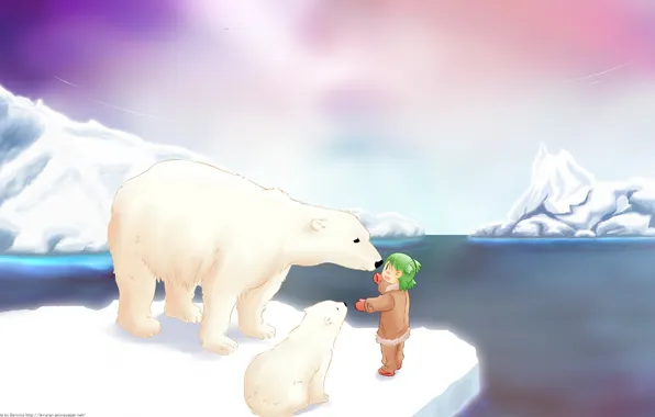 Snow, anime, polar bear, pole, Umka