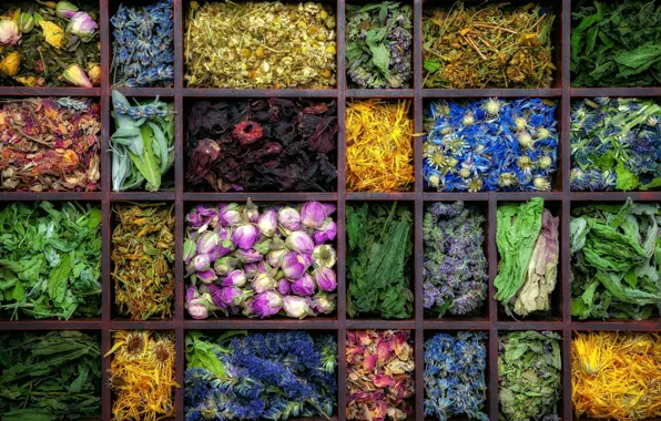 Flowers, tea, tray, teas