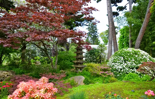 Picture trees, flowers, France, Paris, garden, the bushes, Japanese gardens, Albert-Kahn
