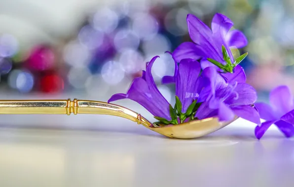 Flowers, background, spoon, bells, lilac, bokeh, composition