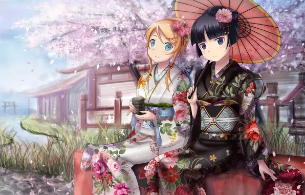 Picture river, umbrella, girls, tea, umbrella, petals, Sakura, kimono