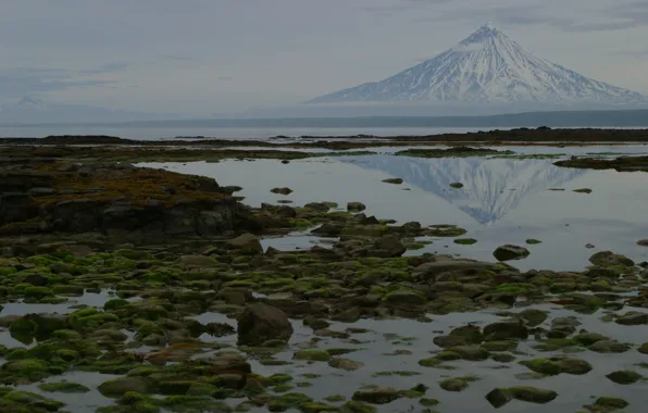 Sea, nature, reflection, stones, photo, mountain, moss, Kamchatka