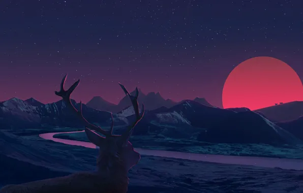 Sunset, deer, horns