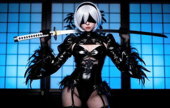 Picture games, nier, 2b nier automata