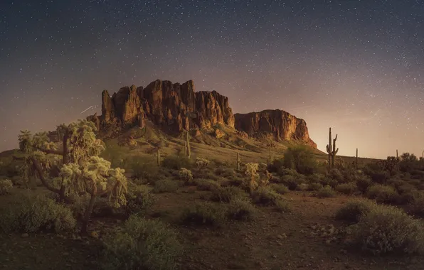 Greens, the sky, stars, mountains, nature, cacti