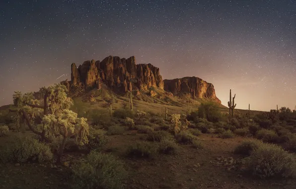 Picture greens, the sky, stars, mountains, nature, cacti