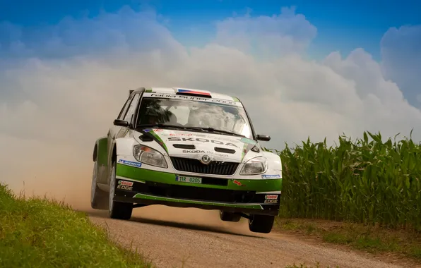 Sport, Race, The hood, Car, rally, Rally, The front, Skoda