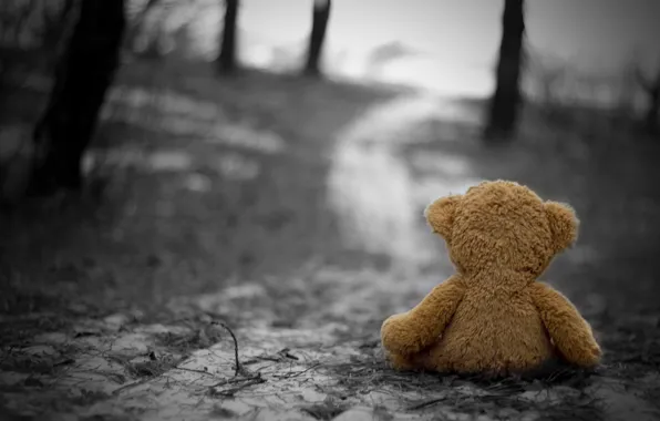 Picture cold, sadness, autumn, loneliness, sadness, Toy, nostalgia