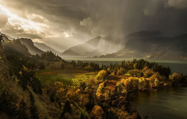 Picture autumn, forest, the sky, trees, landscape, mountains, nature, fog