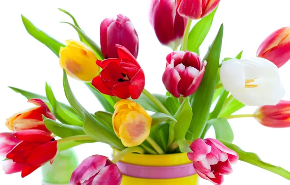 Picture flowers, bright, beauty, bouquet, petals, tulips, red, vase