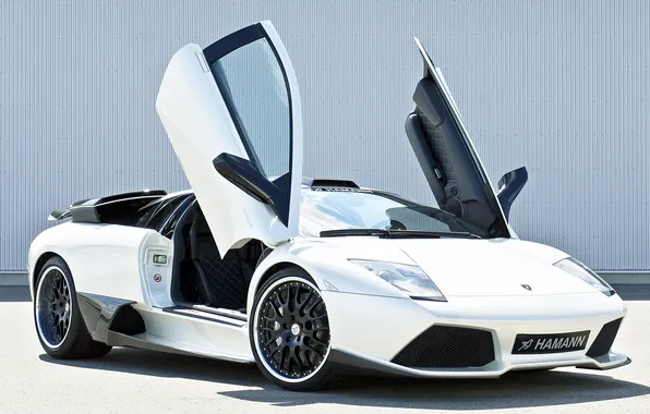 Picture white, Lamborghini, door, Hamann, car, Murcielago, the front, LP640