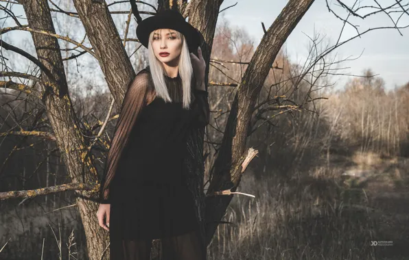 Picture autumn, girl, pose, style, tree, dress, hat, Daria Klepikova