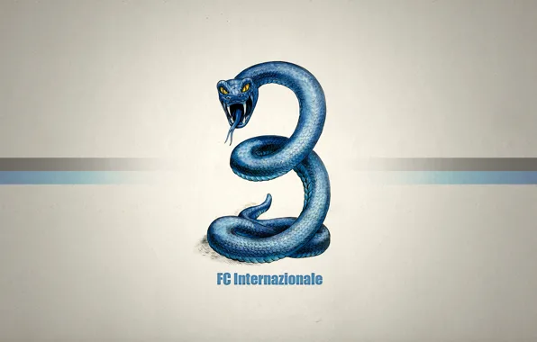 Snake, Texture, Inter, International