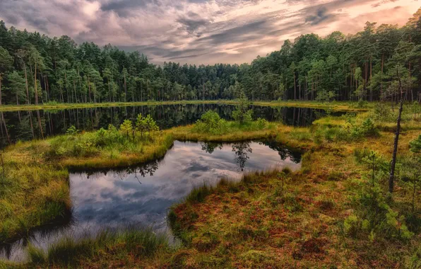 Wallpaper reflection, shore, island, pond, lake, forest, clouds, the sky