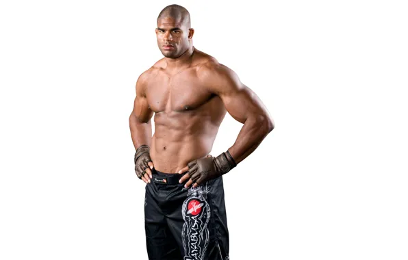 Picture fighter, MMA, mixed martial arts, Alistair Overeem, Alistair Overeem