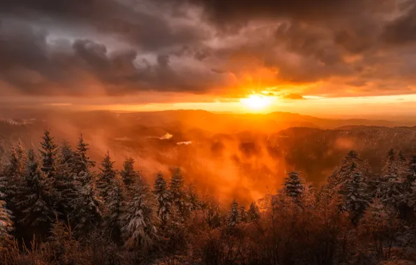 Picture the sun, snow, landscape, mountains, nature, fog, dawn, spruce