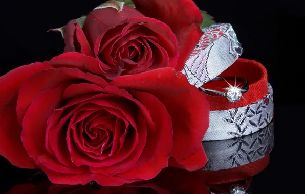 Red, wedding, ring, box, roses