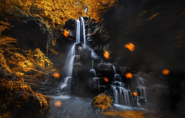 Autumn, forest, leaves, the dark background, stones, rocks, branch, waterfall