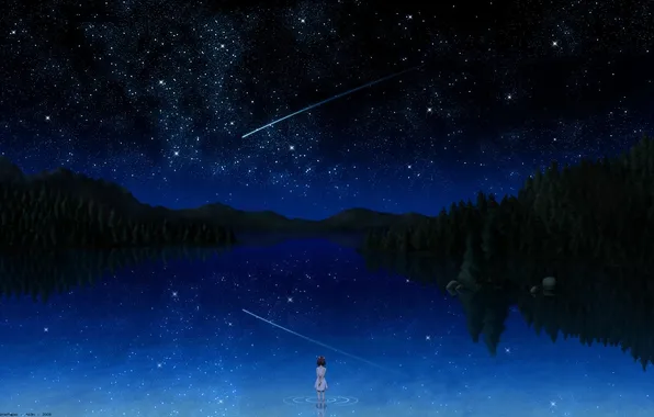 Picture the sky, water, stars, girl, shooting star
