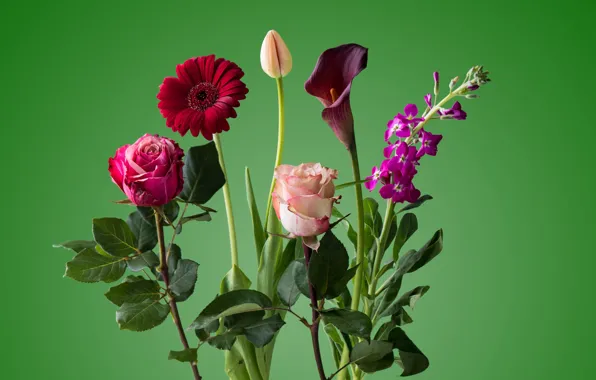 Picture roses, bouquet, petals, stem, tulips